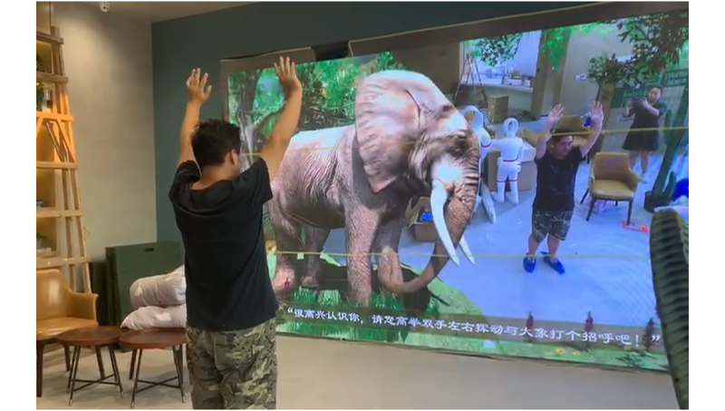 体感互动AR互动真实动物大象动作识别互动体感互动游戏开发