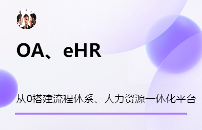 企业内部数字化、职能应用开发，OA、eHR、财务