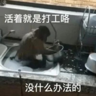 翻譯大部分語言都沒有問題，翻譯服務，能力出色
