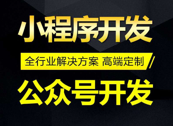 向量智投