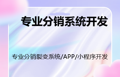 专业开发团队 分销系统 APP 小程序开发