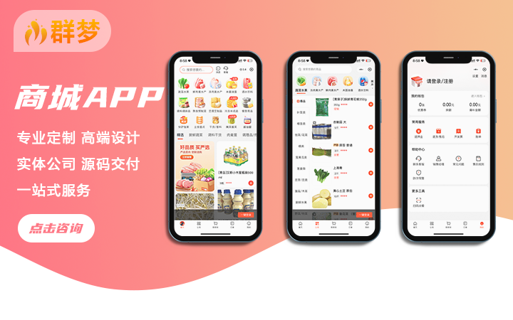 專業(yè)軟件定制開發(fā)群夢科技