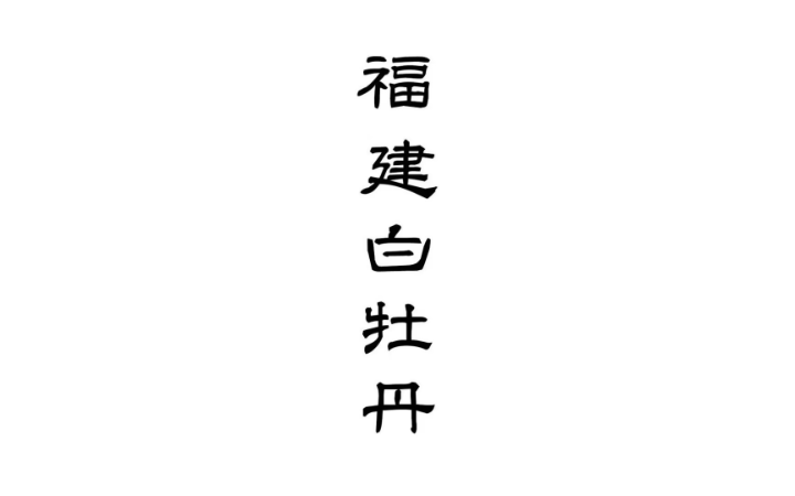 時(shí)一設(shè)計(jì)事務(wù)所