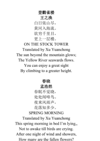 彗星網(wǎng)絡(luò)