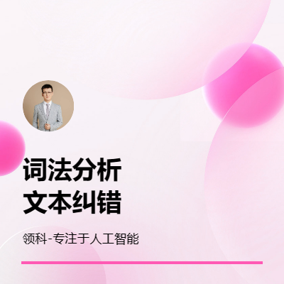 人工智能python词法分析文本纠错NLP