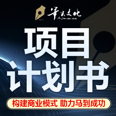 項目計劃書撰寫商業(yè)計劃書融資方案BP匯報路演PP