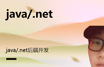 java/.net后端开发