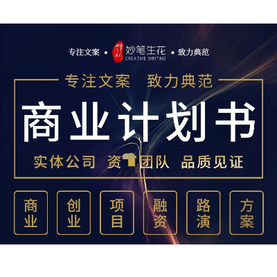 商业计划书撰写项目计划书可行性报告融资路演PPT