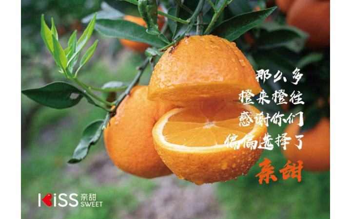 時一設(shè)計事務(wù)所