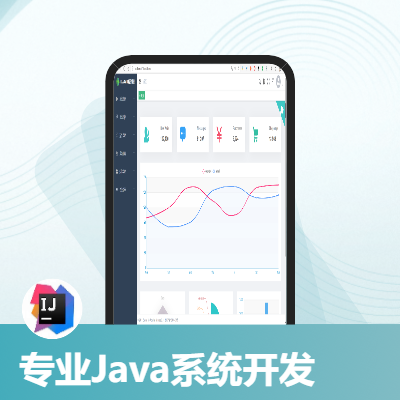 专业Java系统开发