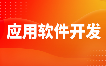 应用软件开发北京IT运维上海电商平台深圳跨境广州