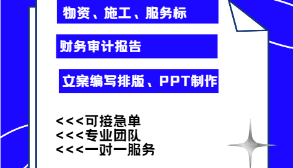 招投标 财务审计 咨询 报名 制作 审核 上传