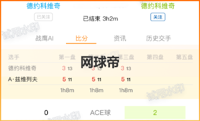 網(wǎng)球帝