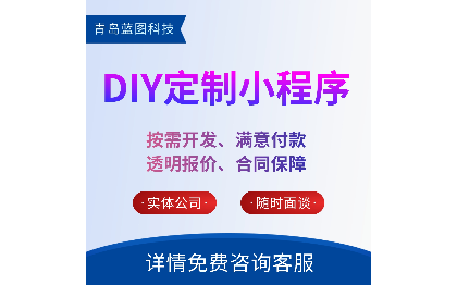 全品类定制DIY系统来图定制DIY系统抱枕服装T