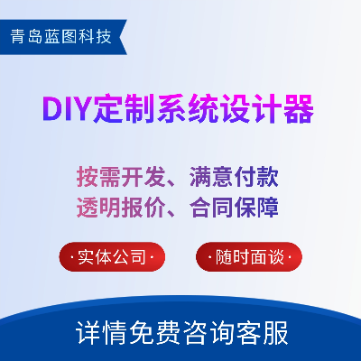 DIY设计器定制开发DIY解决方案服装效果图