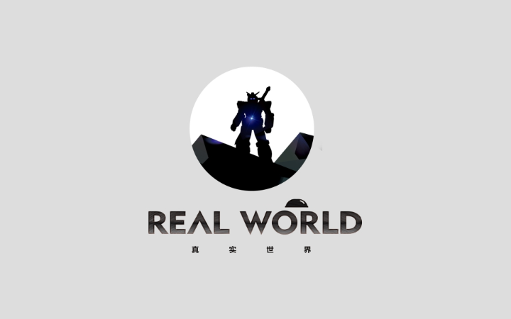 风正扬品牌设计