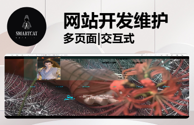 專業(yè)化開(kāi)發(fā)，一對(duì)一服務(wù)。