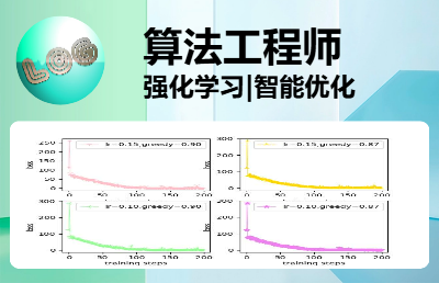 软件开发以及算法构建