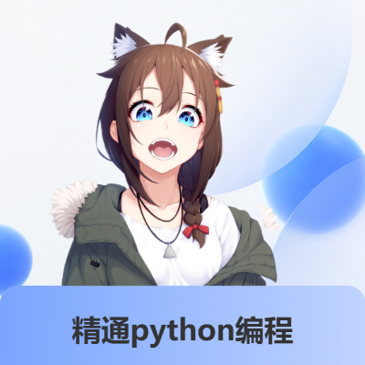 python項目定制