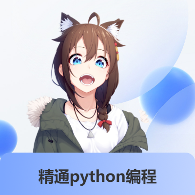 python项目定制