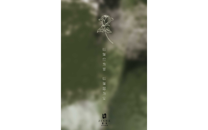 王芳芳