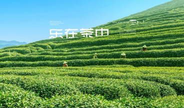 樂在茶中品牌VI設(shè)計