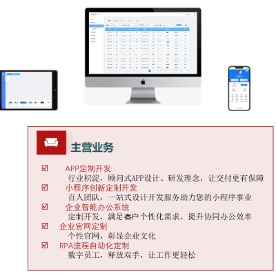 提供各种类型软件定制