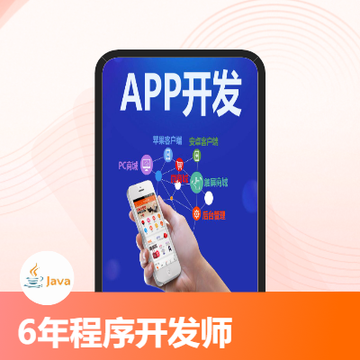 企业级应用网站、APP定制开发、java全栈式