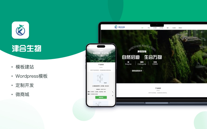 云訊鏈-極速搭建跨境獨(dú)立站