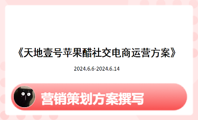 天地壹號蘋果醋社交電商運營方案