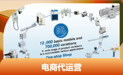 氣動(dòng)元件跨境電商官網(wǎng)代運(yùn)營