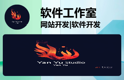 【15年软件工作室】网站开发|软件开发|APP