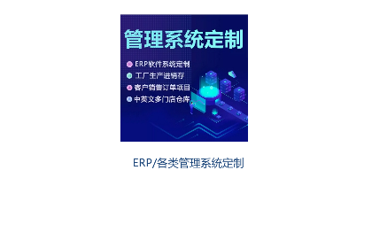 行業(yè)軟件/小程序/APP開(kāi)發(fā)服務(wù)