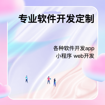 做各类型软件定制开发