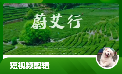 大學生三下鄉(xiāng)記錄短片