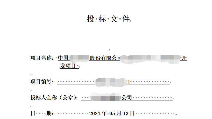 制作投标文件、讲标文件