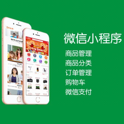 【專業(yè)開發(fā)團(tuán)隊(duì)】APP|小程序開發(fā)