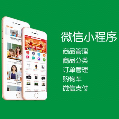 【专业开发团队】APP|小程序开发