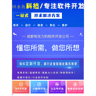 网站维护APP维护微信小程序数据库维护服务器维护