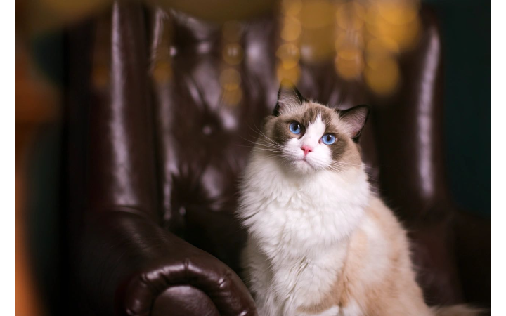 出片儿跟喝水一样全天在剪