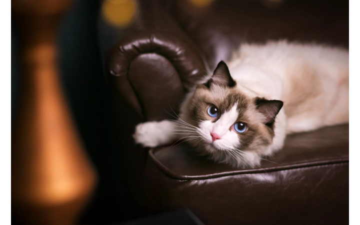 出片儿跟喝水一样全天在剪