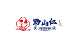 黔山红Vi设计<hl>LOGO</hl>标志<hl>logo</hl>字体设计<hl>logo</hl>设计图