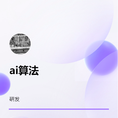 AI算法，智慧类项目城市，交通水域工具软件开发等