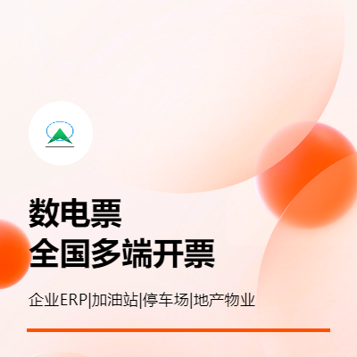 数电发票系统/发票系统对接/增值税发票系统