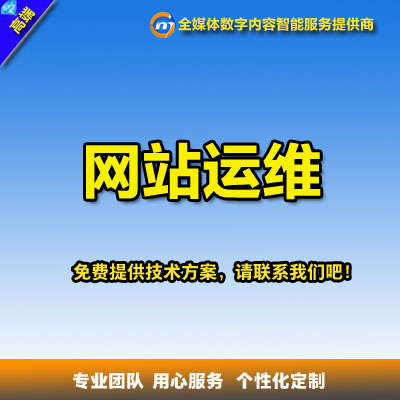 网站运维系统维护数据库维护微信号运维网站程序漏洞