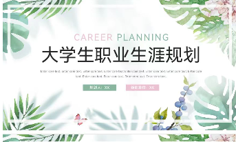 大學(xué)生職業(yè)生涯規(guī)劃ppt