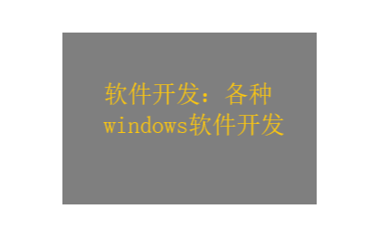 计算机windows软件开发