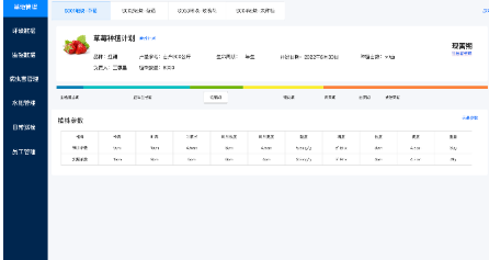 软件开发服务|数字化转型咨询|方案设计