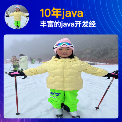 java相关系统软件开发