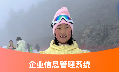 企業(yè)信息管理系統(tǒng)開發(fā)